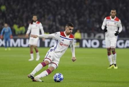 整体性为主 整体性为主